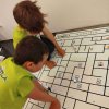 Microtela_2025